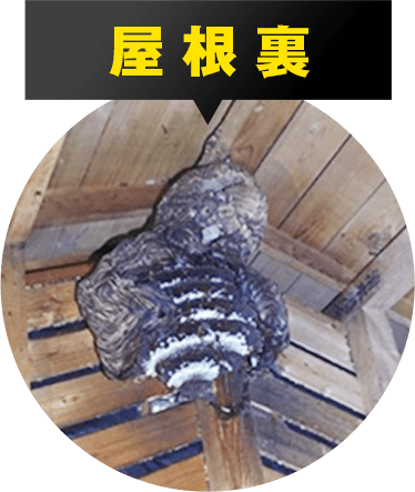 屋根裏