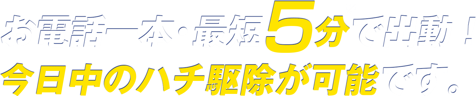 お電話一本・最短5分で出動！今日中のハチ駆除が可能です。