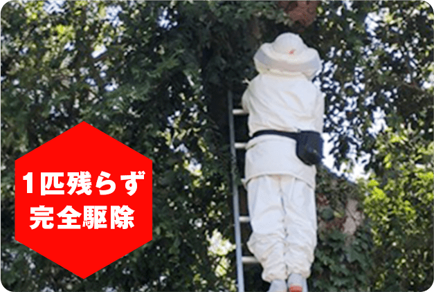 1匹残らず完全駆除