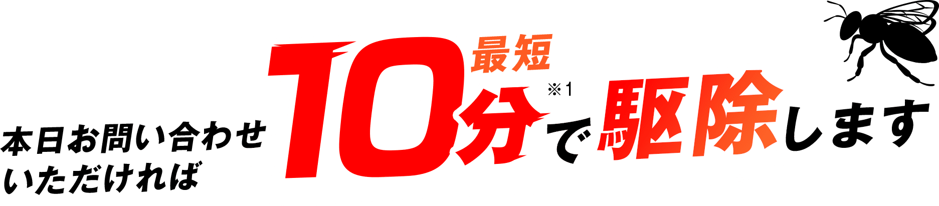 本日お問い合わせいただければ、最短10分で駆除します