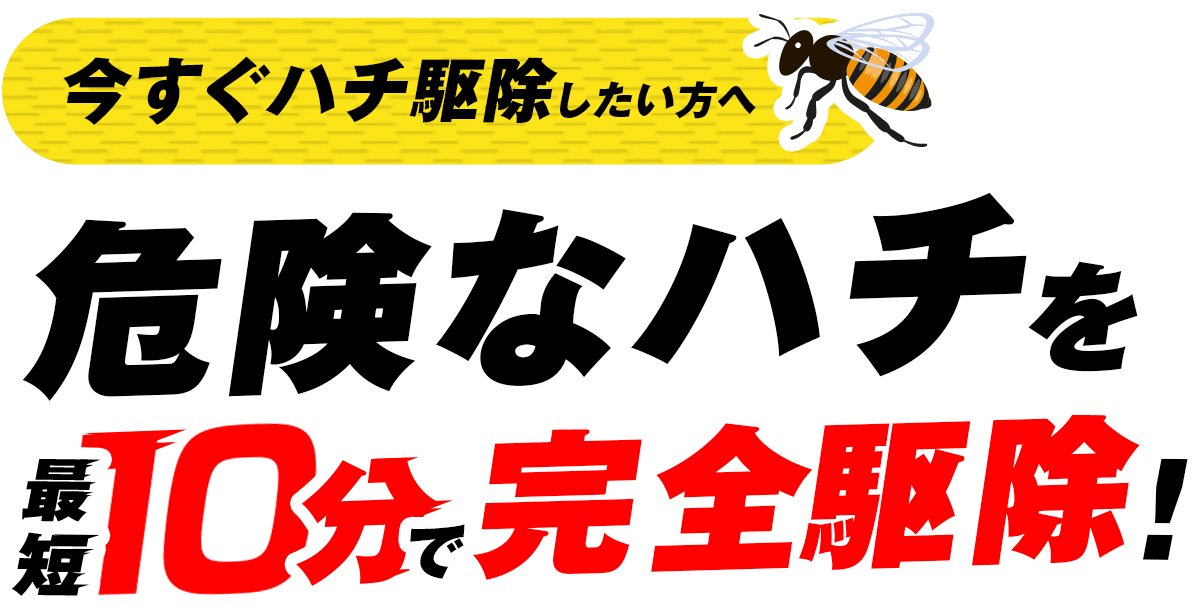 今すぐハチ駆除したい方へ 危険なハチを最短10分で完全排除！