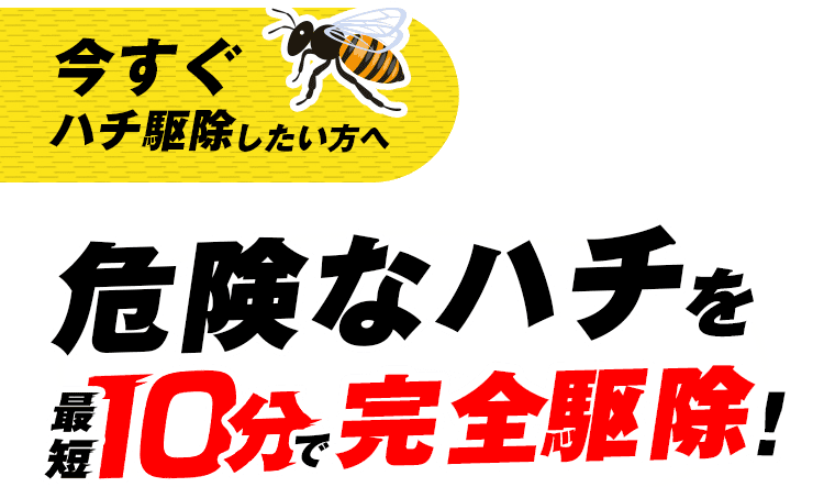 今すぐハチ駆除したい方へ 危険なハチを最短10分で完全排除！