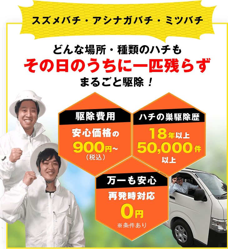 スズメバチ・アシナガバチ・ミツバチ どんな場所・種類のハチでもその日のうちに一匹残らずまるごと駆除！