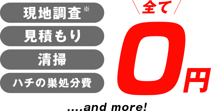 現地調査※、見積もり、清掃、ハチの巣処分費 全て0円 ...and more!