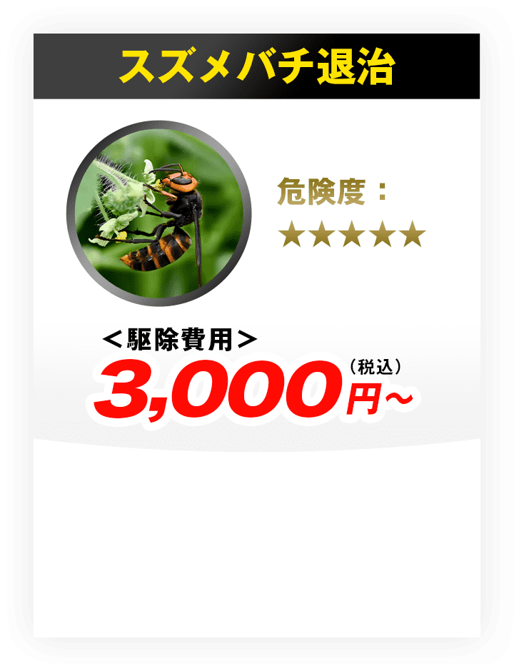 スズメバチ退治 駆除費用9,900円?（税込）