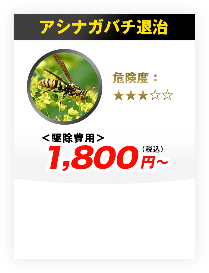 アシナガバチ退治 駆除費用4,400円?（税込）
