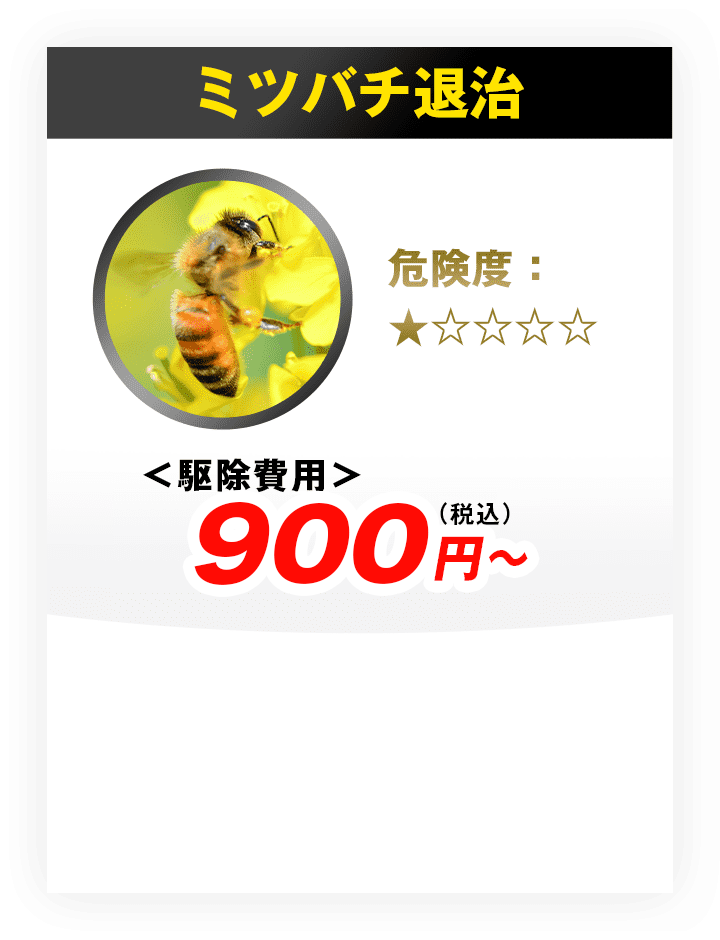 ミツバチ退治 駆除費用4,400円?（税込）