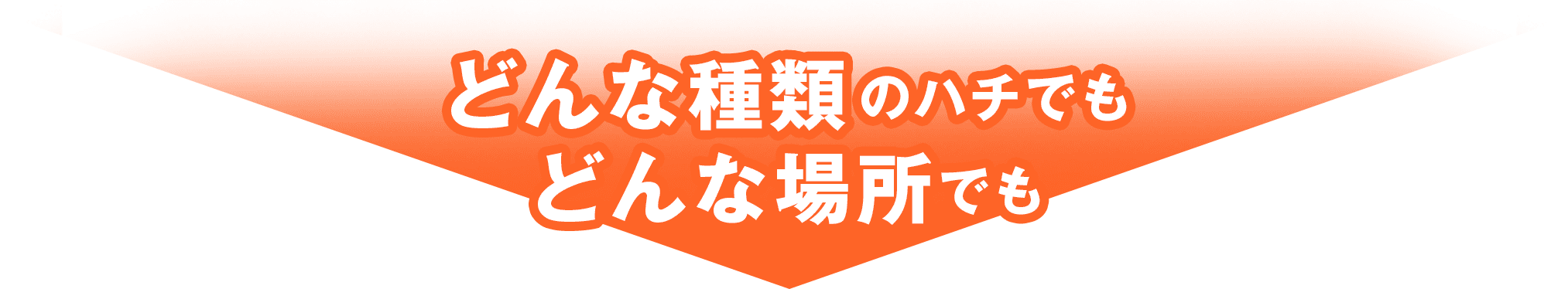 どんな種類のハチでも どんな場所でも