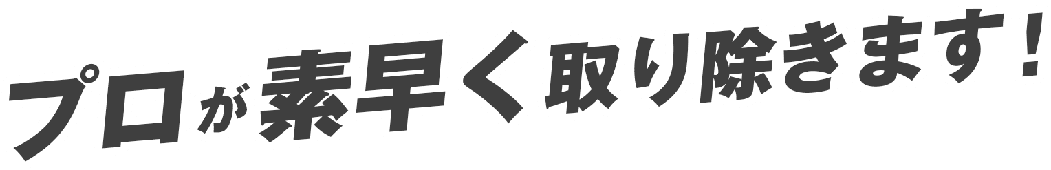プロが素早く取り除きます！