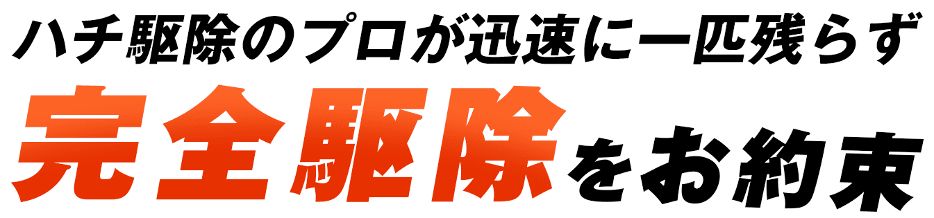 ハチ駆除のプロが迅速に一匹残らず、完全駆除をお約束