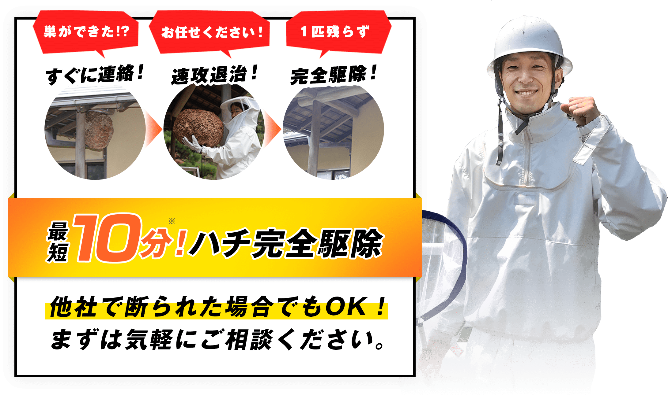最短10分！ハチ完全駆除 他社で断られた場合でもOK！ まずは気軽にご相談ください