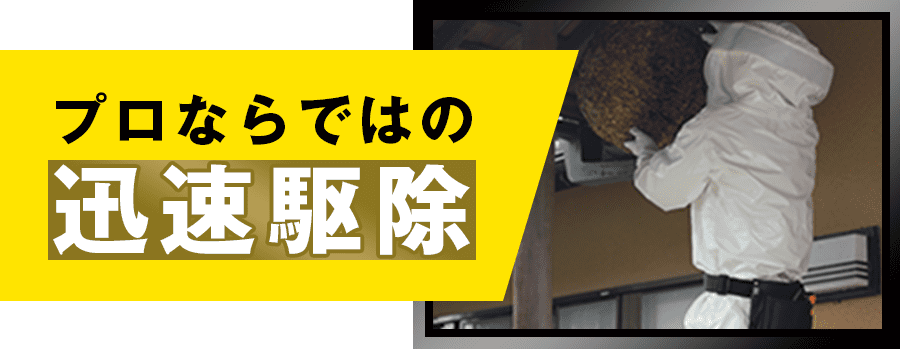 プロならでは迅速駆除