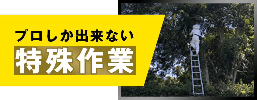 プロしかできない特殊作業