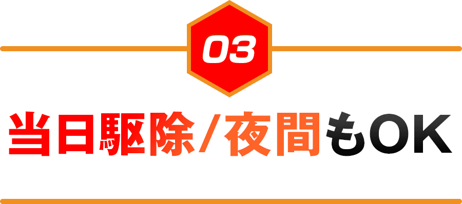 当日駆除/夜間もOK