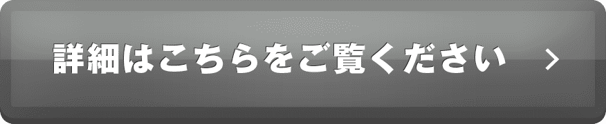 詳細はこちらをご覧ください