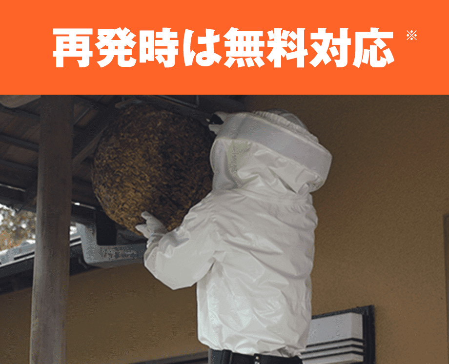 再発時は無料対応※