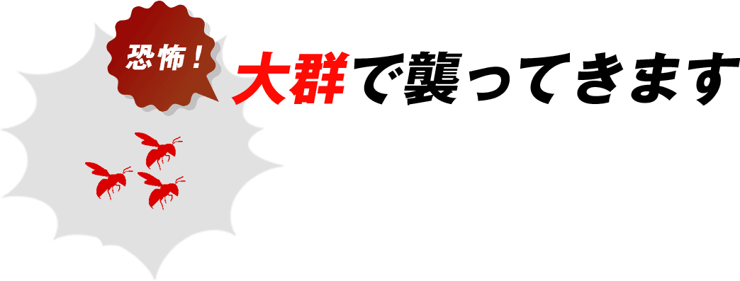恐怖！大群で襲ってきます