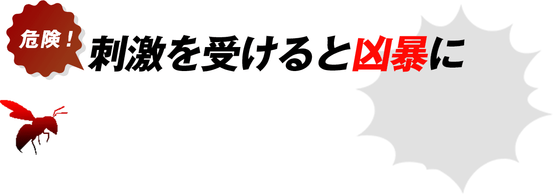 危険！刺激を受けると凶暴に