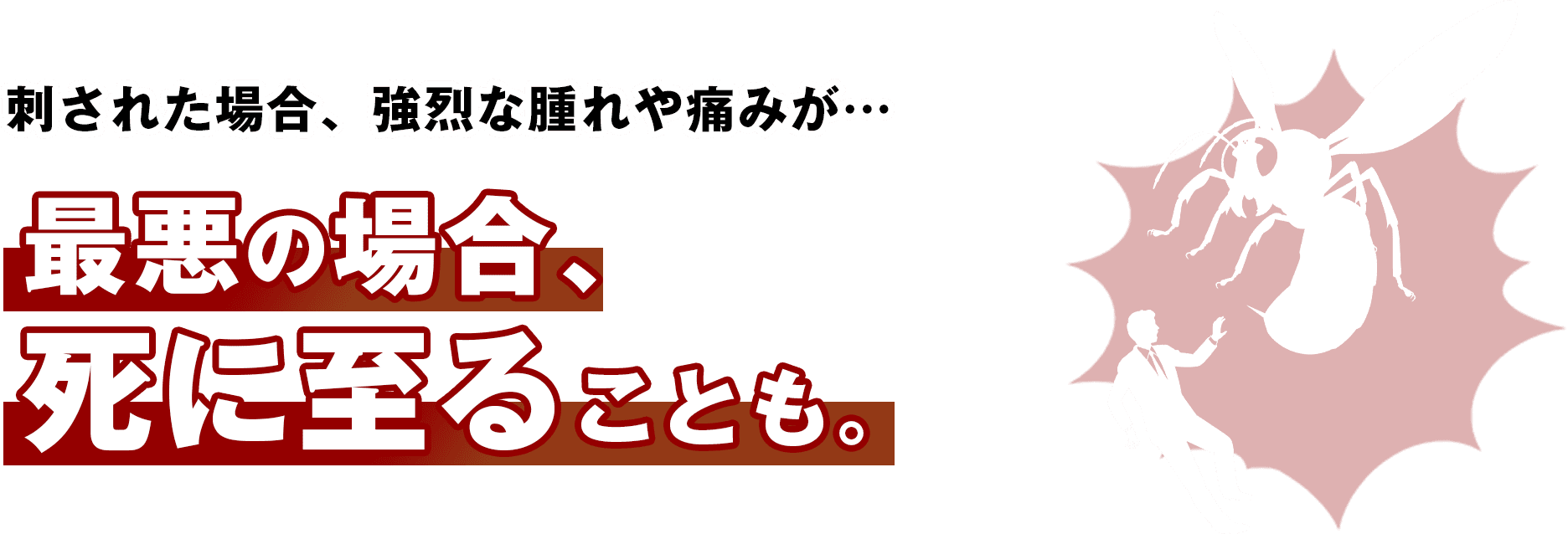 刺された場合、強烈な腫れや痛みが… 最悪の場合、死に至ることも。