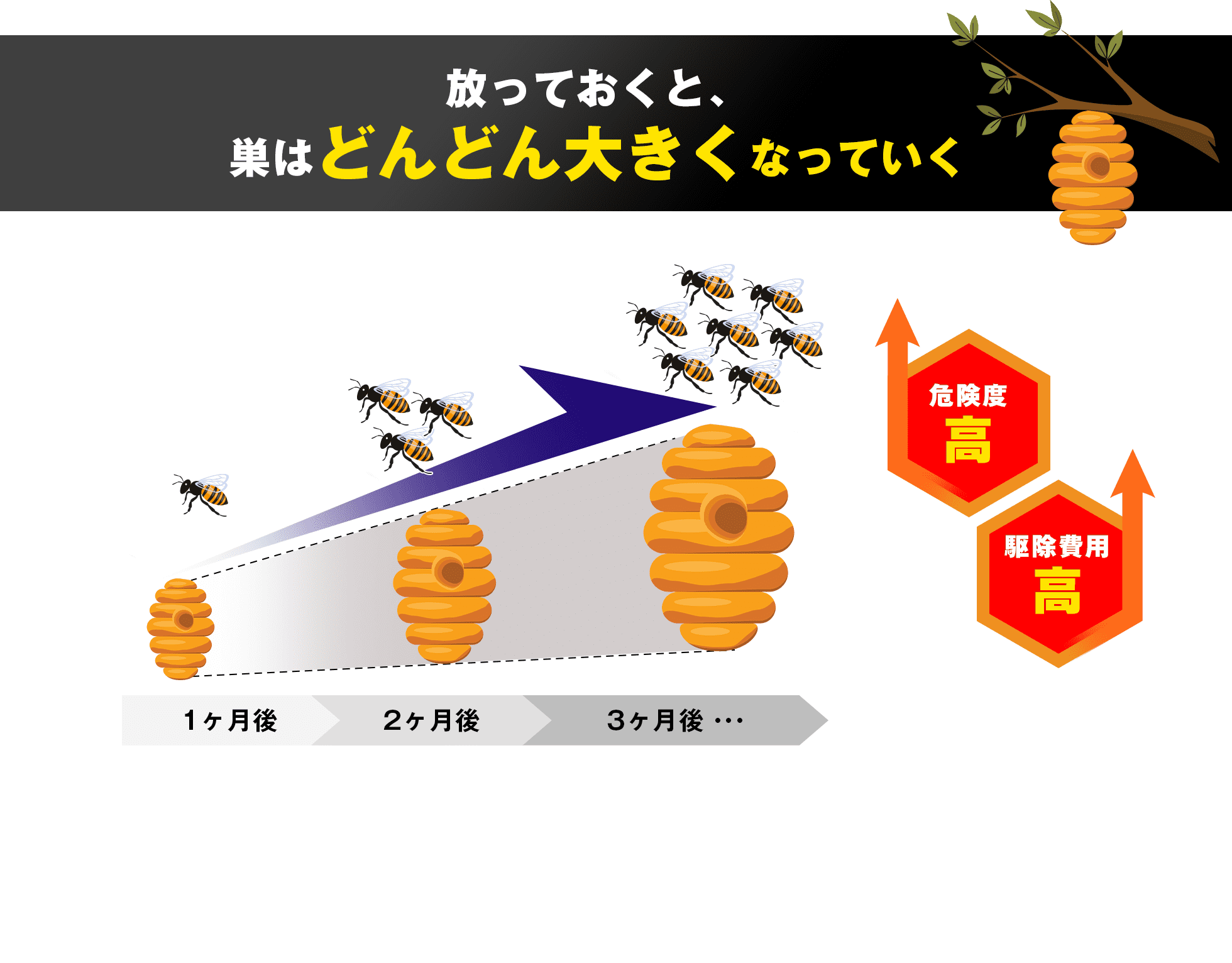 放っておくと巣はどんどん大きくなっていく